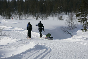 Kiilopää, cross-country skiing with pulka