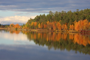 Lake Inari autumn colours
